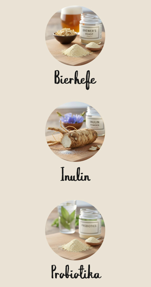 Bierhefe, Inulin, Probiotika