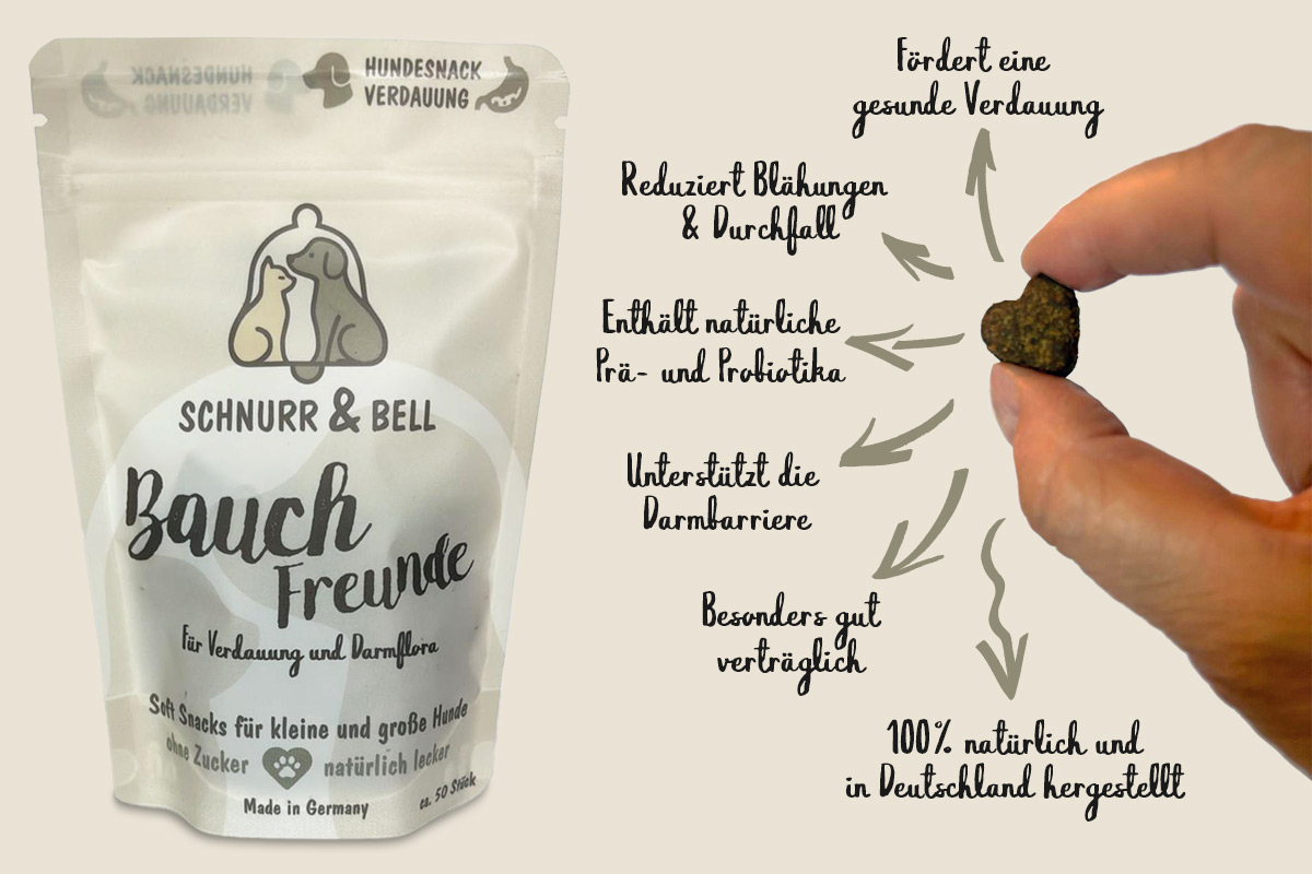 Bauch Freunde Hunde Lerckerli